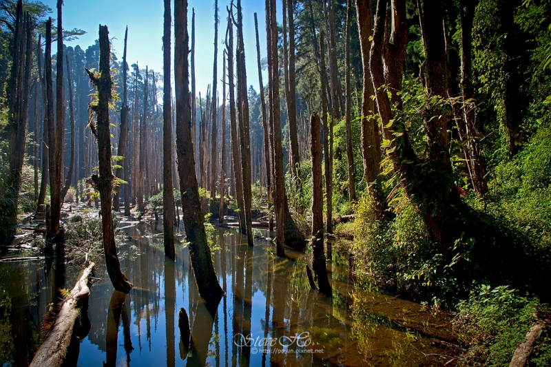 忘憂森林 日月潭クラシック ホテル Classic Group