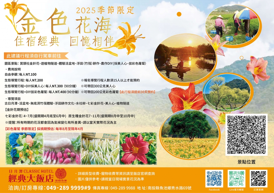 2025金針花(花季)行程DM 2025金針花(花季)行程DM