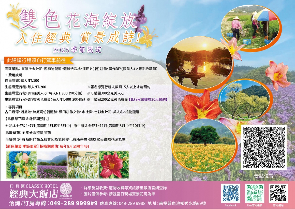 2025金針花(花季)行程DM 2025金針花(花季)行程DM