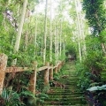 日月潭住宿推薦-經典大飯店-范特奇堡-必遊景點-魚池尖山